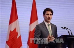 Thủ tướng Justin Trudeau: Canada sẽ không là 'sân sau' cho thép nhập vào Mỹ 